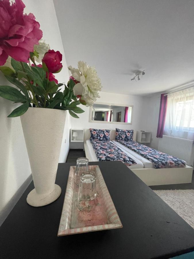Casa De Sub Deal Demsus Kültér fotó